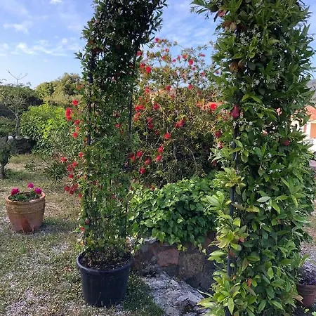 Πανσιόν A Martinella *