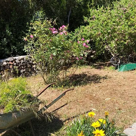 Πανσιόν A Martinella *