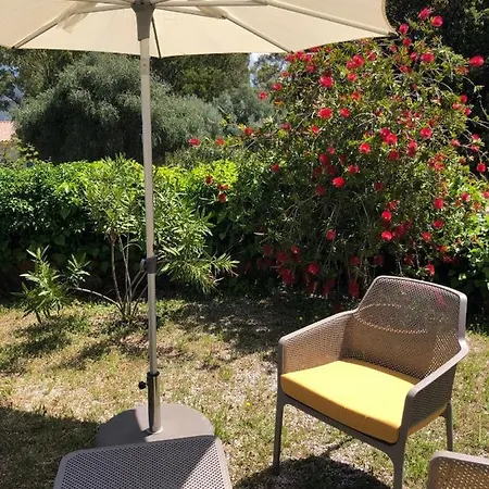 A Martinella