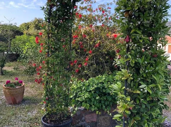 Penzion A Martinella *