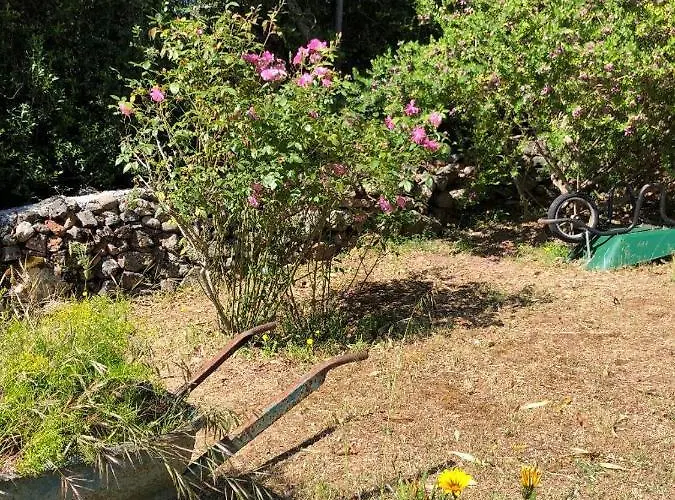 Penzion A Martinella *