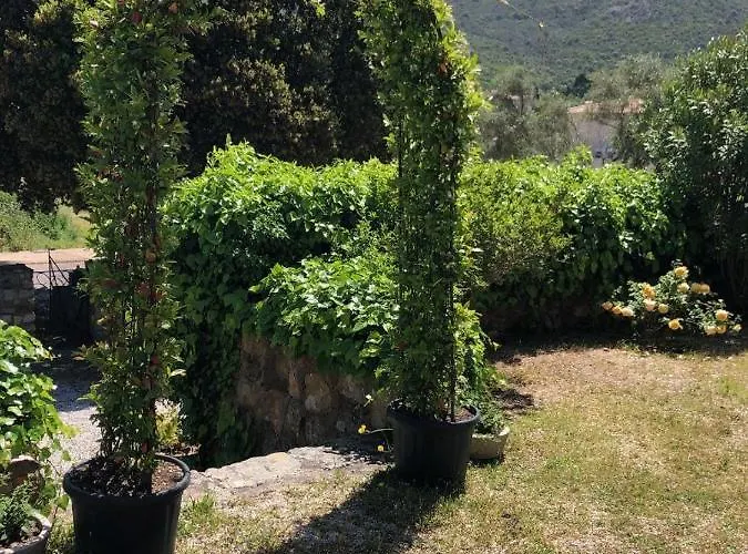 A Martinella בית הארחה